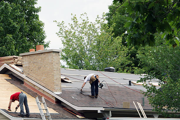 Best Roof Maintenance Services  in Huntertown, IN